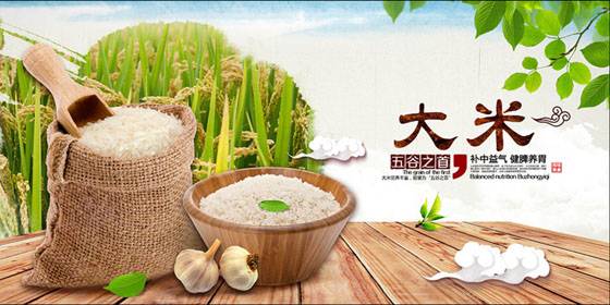 &#20048;&#25237;&#32593;&#39029;&#29256;&#45;&#20048;&#25237;&#65288;&#20013;&#22269;&#65289;